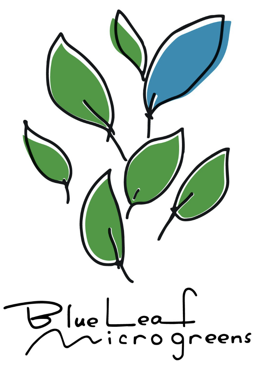 Blue Leaf Microgreens Logo